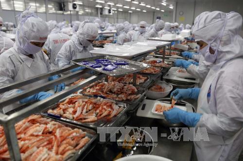 ADB dự báo tăng trưởng kinh tế Việt Nam năm 2017 - 2018 là 6,7% ảnh 1